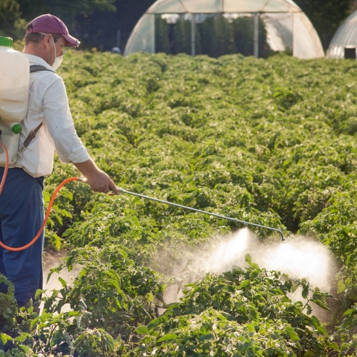 Применение